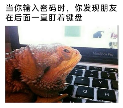 这是一张图文结合的搞笑梗图，采用顶配底文的形式，顶部配文为“当你输入密码时，你发现朋友在后面一直盯着键盘”，下方实拍图为一只鬃狮蜥趴在MacBook Pro笔记本电脑的键盘旁，抬着头直勾勾看向键盘的方向，神态恰好匹配了偷看他人输入密码的人的状态，将日常生活中被人偷看密码的尴尬场景用动物拟人化的方式表现出来，极具共鸣感和笑点。