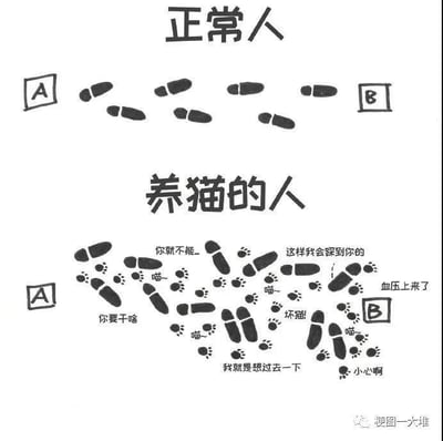 这是一张上下对比的静态图文梗图，通过强烈的反差展现养猫前后走路状态的变化：上方“正常人”板块里，从A点到B点是两行整齐笔直的脚印，路线顺畅无阻；下方“养猫的人”板块里，A到B的区域布满了杂乱交错的人类脚印和猫爪印，同时添加了多句养猫人的内心独白与模拟的猫咪对话，包括“你要干啥”“你就不能...”“这样我会踩到你的”“血压上来了”“坏猫”“喵~喵~”“我就是想过去一下”“小心啊”，生动还原了养猫人走路时总会被猫咪干扰，路线变得混乱，还要时刻担心踩到猫的无奈日常，用夸张的对比精准戳中养猫人群的共鸣，充满搞笑感。