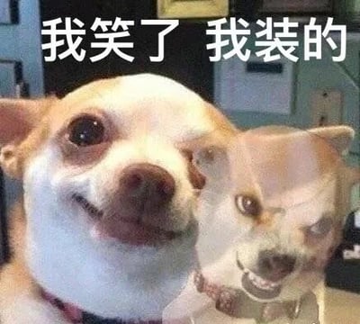 图片中是一只吉娃娃犬，脸部被处理成双重曝光效果，左侧呈现出刻意的微笑表情，右侧则叠加着眼神锐利、略带不耐烦的严肃面容。图片顶部配有白色文字“我笑了 我装的”，精准捕捉了表面迎合实则内心抗拒的矛盾状态，常用于网络场景中调侃被迫营业、虚伪社交或强颜欢笑的无奈情绪。