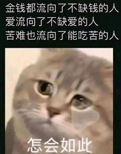 这是一张图文结合的静态表情包，上方黑色背景搭配白色文字，写出了三个戳中大众的现实现象：金钱涌向本就不缺钱的人，爱奔赴本就不缺爱的人，苦难却降临在能吃苦的人身上；下方是一只眼眶含泪、神情委屈又无奈的猫咪，猫咪下方配文“怎会如此”，整体精准传达出人们面对这种“马太效应”式的不公现实时，内心的无奈、心酸与难以置信的情绪，极易引发网友共鸣，常被用于在社交平台抒发这类感慨。