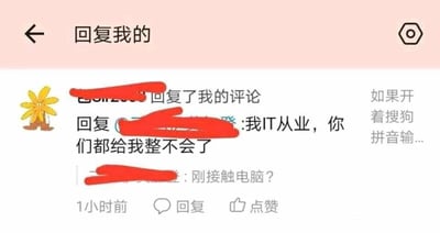 这是一张社交媒体的评论回复界面截图，界面顶部显示“回复我的”，左上角是一个黄色花朵样式的卡通头像，该头像对应的用户是一名IT行业从业者，他在评论中吐槽“我IT从业，你们都给我整不会了”，随后有另一名用户回复调侃他“刚接触电脑？”，界面右侧还有部分被截断的文字“如果开着搜狗拼音输...”，推测对话的背景是该IT从业者遇到了和搜狗输入法相关的、超出自己认知的电脑操作问题，从而在评论区引发调侃互动。针对“刚接触电脑？”这个调侃，实际上这名IT从业者并非真的刚接触电脑，只是用夸张的方式吐槽问题的意外性，其他用户以此进行玩笑式的调侃。