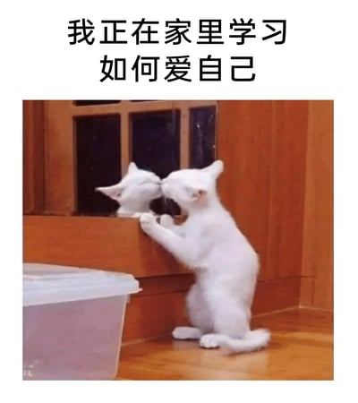 这是一张图文混排的静态单图，属于治愈系表情素材图。画面中一只白色猫咪后腿蹲坐站立，两只前爪搭在木质窗沿上，闭着眼睛温柔地亲吻窗玻璃里自己的倒影，画面左侧有一个透明塑料收纳盒，整体场景温馨可爱。图片上方配有文字“我正在家里学习如何爱自己”，用猫咪亲吻自己倒影的有趣场景，生动地诠释了自我接纳、自我关爱的主题，传递出温暖治愈的氛围，适合用来表达自我关怀的心情。