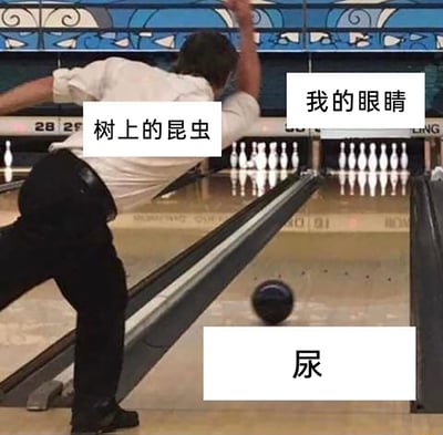 这是一张经过文字加注的搞笑错位梗图，场景设定在保龄球馆内：一名身着白衬衫黑裤的男子完成投球动作后，身体前倾保持跟随姿势，而他投出的保龄球偏离了正常球道，没有朝着前方的球瓶滚动。图中通过三个文字框进行趣味标注：将男子上半身标注为“树上的昆虫（蝉）”，前方的球瓶区域标注为“我的眼睛”，偏离轨道的保龄球标注为“尿”，结合“蝉尿入眼”的日常小意外经历，利用保龄球场景的视觉错位，制造出“蝉的尿没有进入眼睛，反而像是从投球者身体排出”的搞笑反差效果，用谐音和错位的方式调侃生活里的小倒霉事。