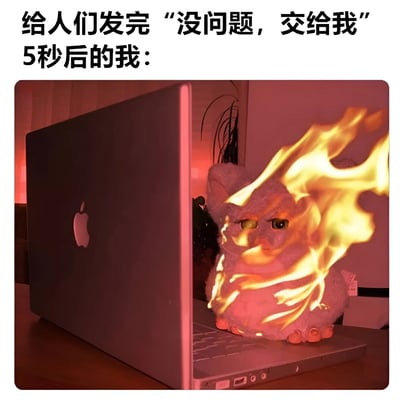 图片上方配有文字“给人们发完‘没问题，交给我’5秒后的我：”，下方是一张经过编辑的照片。照片中展示了一台银色苹果笔记本电脑，其键盘上放置着一个毛绒玩具，玩具全身被黄色和橙色的火焰特效包围，表情看起来有些惊恐，整体营造出一种在自信答应任务后瞬间陷入慌乱和压力中的幽默场景。