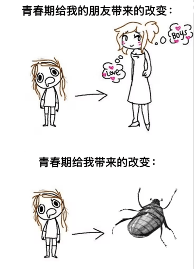 这是一张对比风格的漫画梗图，分为上下两部分。上半部分标题为“青春期给我的朋友带来的改变”，左侧是一个有着凌乱头发、惊讶表情的小女孩，右侧则是一个扎着马尾、穿着连衣裙和高跟鞋的成熟女孩，她的思想泡泡里写着“Love”和“Boys”并带有爱心图案。下半部分标题为“青春期给我带来的改变”，左侧是同一个惊讶表情的小女孩，右侧却是一只写实风格的甲虫，形成了幽默的对比效果。