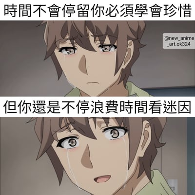 这是一张上下对比的动漫梗图，上方画面中一位棕色头发的动漫少年眼含泪水，配文'时间不会停留你必须学会珍惜'；下方相同角色表情更加悲伤，泪水更多，配文'但你还是不停浪费时间看迷因'。通过角色悲伤的表情和前后矛盾的文字内容，形成一种自嘲式幽默，调侃人们明知应该珍惜时间却仍在浏览网络迷因的行为。