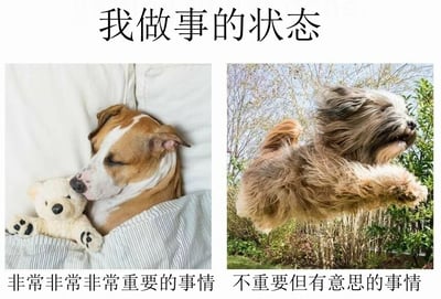 这是一张左右对比梗图，标题为“我做事的状态”。左侧图片中，一只棕白相间的狗躺在床上，抱着泰迪熊，闭着眼睛睡得很沉，下方文字标注“非常非常非常重要的事情”；右侧图片中，一只毛发蓬松的狗在户外兴奋地跳跃，四肢张开，下方文字标注“不重要但有意思的事情”。图片通过两种极端状态的对比，幽默地展现了人们面对重要任务时拖延懈怠，而对有趣但不重要的事情却充满热情的常见现象。