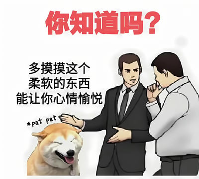 图片上方有红色大字标题'你知道吗?'，下方左侧有一只闭着眼睛、吐着舌头、表情愉悦的柴犬，旁边标注'*pat pat'。右侧有两个男性角色，一个穿着西装的男子正伸手抚摸柴犬，对另一个穿白衬衫的男子说'多摸摸这个柔软的东西能让你心情愉悦'。白衬衫男子则用手托着下巴，似乎在观察和思考。整幅图通过温馨的场景传达了抚摸宠物可以带来好心情的理念。