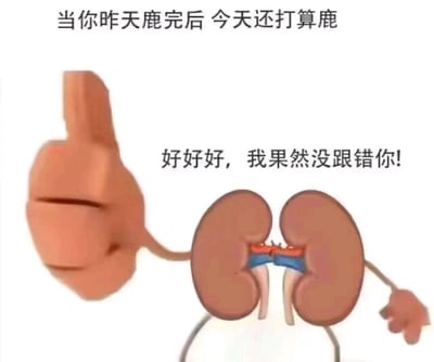 这是一张充满反差感的搞笑表情包，图中是被赋予手臂的拟人化肾脏形象，它正竖起大拇指做出点赞的动作。图片上方配文“当你昨天鹿完后 今天还打算鹿”，其中“鹿”是“撸”的谐音，暗指会过度消耗肾脏的行为；肾脏的配文是“好好好，我果然没跟错你！”，用本该被消耗的器官反而点赞的反讽方式，调侃这种不爱护肾脏的生活习惯，通过反差感和谐音梗制造出搞笑效果，容易在社交场景中引发共鸣。