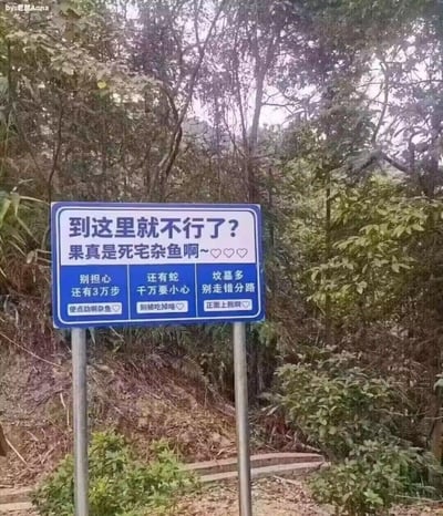 森林小径旁立着一块蓝色指示牌，周围环绕茂密树木与绿植。牌面用调侃语气写着：“到这里就不行了？果真是死宅杂鱼啊~♡♡♡”，并“贴心”提示：“别担心 还有3万步 快点动啊杂鱼♡”“还有蛇 千万要小心 别被蛇吃掉咯♡”“坟墓多 别走错分路 正面上我啊♡”，整体营造出对体力不支徒步者的嘲讽式幽默氛围。