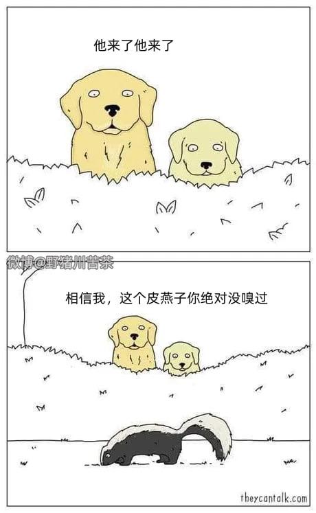theycantalk动物拟人漫画系列