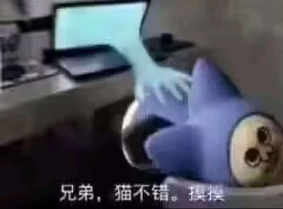 暂无描述