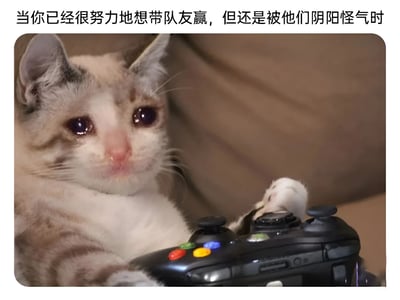 图片上方配有文字“当你已经很努力地想带队友赢，但还是被他们阴阳怪气时”，下方是一只眼睛含泪的猫，正握着黑色游戏手柄，表情委屈，生动展现了游戏中努力carry却遭队友嘲讽的无奈场景。