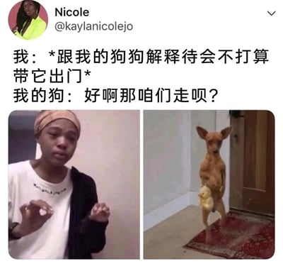 这是一张由国外社交媒体用户创作的搞笑宠物梗图，采用左右多图拼接的图文混排形式。左侧是一位穿着白T恤外搭黑色外套的真实人物，面露无奈又崩溃的神情，双手做出类似解释的手势，对应配文里主人正在试图跟狗狗说明待会不打算带它出门；右侧是经过P图改编的狗狗形象，它直立站在房间门边的地毯上，怀里抱着一个黄色玩具，神情看起来急切又期待，对应配文里狗狗完全忽略主人的解释，直接默认要出门的回应。整个内容通过主人费劲沟通的无奈，和狗狗“选择性听不见”的反差感，生动还原了养宠人与宠物日常互动里的趣味瞬间，容易引发养宠人群的共鸣。