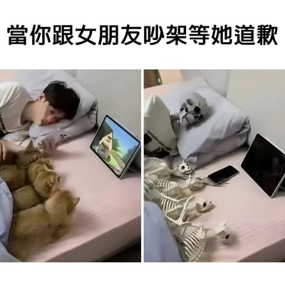 这是一张左右对比的幽默梗图，展示了与女朋友吵架后等待道歉的夸张过程。左图中一名男子躺在床上，身边有许多小狗，正在用平板电脑观看游戏；右图中同样的场景，但男子和小狗都变成了骨架，暗示等待时间之长。