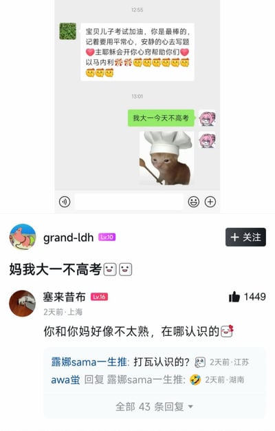 这张图由上下两部分组成：上半部分是微信聊天记录截图，妈妈记错孩子的年级，给已经上大一的孩子发送高考加油的祝福消息，还附上了鼓励的话语与表情；孩子回复“我大一今天不高考”，并配上了头戴厨师帽、手持勺子的迷惑猫咪表情包。下半部分是该聊天记录被发布到社交媒体后的评论区，楼主标题为“妈我大一不高考😐😐”，热评网友调侃“你和你妈好像不太熟，在哪认识的🥰”，还有其他网友玩梗回复“打瓦认识的？”，整体是一场因长辈疏忽引发的家庭搞笑乌龙，充满生活趣味与网友的幽默调侃。
