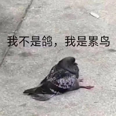 暂无描述