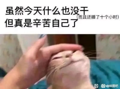 这是一张图文混排的静态文字加注图，上方配有黑色的自嘲文字，主内容为“虽然今天什么也没干但真是辛苦自己了”，并用括号补充说明“(而且还睡了十个小时)”；下方是一张真实猫咪的照片，一只猫咪被人的手抚摸头部，猫咪眯起眼睛，仰头露出惬意享受的神态，仿佛在呼应文字里的情绪。整张图用幽默夸张的方式，调侃当代年轻人偶尔摆烂躺平，什么事都没做甚至睡了很久，却依然觉得疲惫、需要自我安慰的状态，充满了自嘲的趣味，很容易引发有类似经历的人的共鸣。