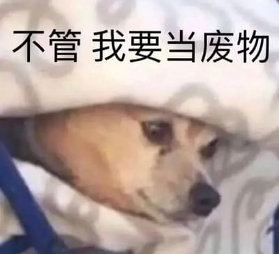 一只小狗裹在带有圆点图案的白色被子里，只露出头部，眼神看起来有些慵懒和无所谓。图片上方有黑色文字："不管 我要当废物"，表达了一种想要放松、不想努力的心情。这张图通过可爱的小狗形象和直白的文字，幽默地展现了人们有时想偷懒、享受悠闲时光的心态。