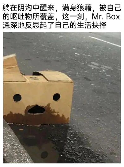 这是一张充满创意的搞笑静态梗图，画面主体是一个被简单加工的纸箱：在纸箱正面画上两个圆形当作眼睛、一个不规则形状当作嘴巴，使其拥有拟人化的面部；纸箱被放置在路边潮湿的路面（类似阴沟的区域），下半部分有深色污渍，看起来像是“呕吐物”。图片上方配有文字：“躺在阴沟中醒来，满身狼藉，被自己的呕吐物所覆盖，这一刻，Mr.Box深深地反思起了自己的生活抉择”，将纸箱拟人化为“Mr.Box”，营造出一种在失意、颓废后陷入自我反思的诙谐氛围，用荒诞的拟人化表达调侃生活中的低落时刻。