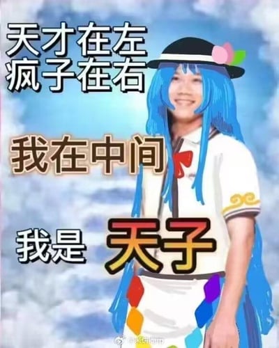 这是一张经过P图改编的搞笑二次创作梗图，将真人的笑脸与东方Project角色比那名居天子的蓝色长发、标志性服饰进行合成，背景是淡蓝色的天空/cloud画面。图中配有三段文字：上方为“天才在左 疯子在右”，中间为“我在中间”，下方为“我是 天子”。
谐音梗说明：利用“天才”的“天”和“疯子”的“子”组合成“天子”，同时对应图中的角色比那名居天子，形成双重呼应，制造出荒诞搞笑的效果。