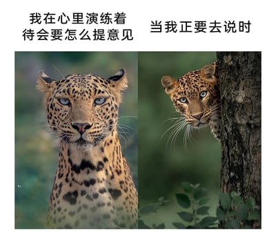 这是一张采用左右对比形式的图文梗图，左侧展示了一只神态坚定、直视镜头的豹子，上方配文“我在心里演练着待会要怎么提意见”，呈现出人们在内心准备表达意见时的自信与笃定；右侧则是一只躲在树干后方、仅露出头部，眼神带着怯懦闪躲的豹子，上方配文“当我正要去说时”，精准还原了很多人在真正要表达意见时，内心退缩、不敢直面的社恐状态。通过豹子的两种拟人化状态对比，生动调侃了日常社交或职场中，人们想表达却又不敢行动的矛盾心理，极易引发情绪共鸣。