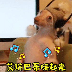 这是一段由4帧组成的动态GIF，展示了一只无毛犬戴着黑色耳机和装饰有白色毛球的帽子，坐在绿色椅子上随着音乐欢快舞动的场景。狗狗在四帧中分别做出摇头、晃耳、歪头等不同动作，耳朵和身体随节奏摆动，显得十分投入。画面中点缀着蓝色和黄色的音乐符号，底部有黄色加粗文字“艾瑞巴蒂嗨起来”（意为“大家一起嗨起来”），整体营造出热闹欢快的氛围，仿佛在带动观众一起享受音乐。