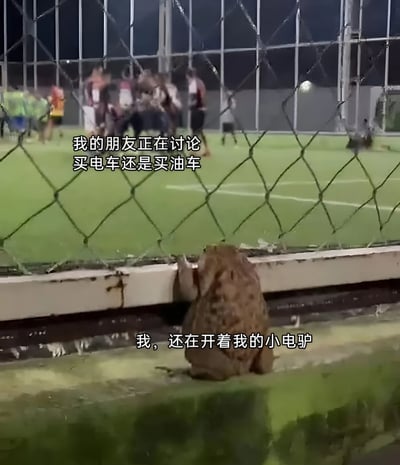 一张夜间足球场的照片，透过铁丝网围栏拍摄。前景中有一只青蛙正趴在围栏底部，似乎在偷听。背景中可以看到模糊的人影，他们正在足球场上活动。图片上有两行文字：“我的朋友正在讨论买电车还是买油车”和“我，还在开着我的小电驴”。这张图通过青蛙偷听的有趣场景，幽默地表现了一种对比：朋友在讨论购买汽车（电车或油车）这样的大件商品，而自己却还在使用电动 scooter（小电驴），形成了一种自嘲式的幽默。