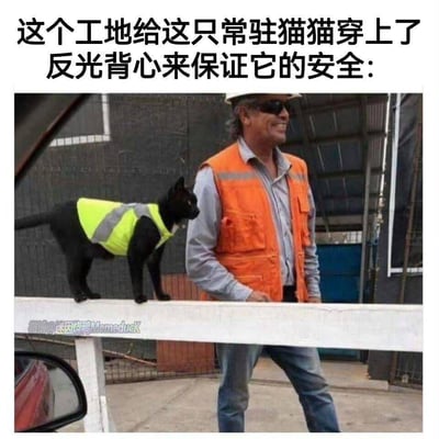 图片展示了一个温馨的工地场景：一只黑色的常驻猫猫穿着荧光黄色的反光背心，正站在白色栏杆上，旁边是一位戴着安全帽、穿着橙色反光背心的工人。上方文字说明工地为保证猫猫安全特意给它穿上了反光背心，画面充满对小动物的关怀，既实用又暖心。