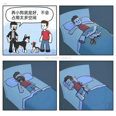 **四格漫画展现养小狗的“空间误会”**：第一格中黑衣男子笑着对红衣男子说“养小狗就是好，不会占用太多空间”，两人脚边各有一只小狗（一只黑白毛色似哈士奇幼犬，一只棕白相间小型犬）。随后三格切换到夜晚卧室场景：红衣男子躺在床上试图入睡，小狗却逐渐“霸占”空间——第二格小狗踩在他腿上，第三格直接趴在他脸上，第四格蜷在他腰侧导致他身体蜷缩。通过前后对比制造幽默反差，暗示小狗虽体型小却会“占据”主人的睡眠空间，戳中养宠人士的共鸣点。
