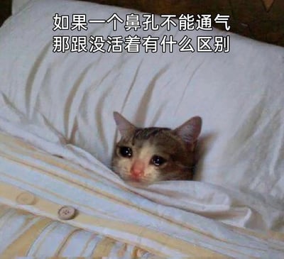 这是一张用于表达身体不适情绪的静态表情包图片，画面主体是一只灰白带棕纹的普通家猫，它只露出脑袋，被被子和枕头包裹着，眼睛湿润泛红，神态委屈低落，看起来十分难受。图片上方配有文字“如果一个鼻孔不能通气 那跟没活着有什么区别”，通过将猫咪的委屈神态与人们鼻塞时的痛苦心情相结合，拟人化地表达出鼻塞带来的生无可恋的糟糕体验，能让有过类似经历的人产生强烈共情。
