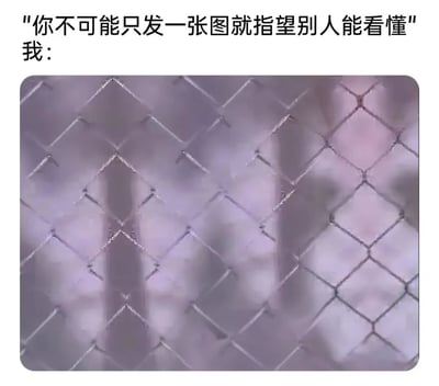 这是一张趣味网络梗图，上方配文“你不可能只发一张图就指望别人能看懂”，下方是一张铁丝网的实拍照片，铁丝网后方的模糊人影与菱形网格形成视觉错位，使得人影看起来像是在竖中指。这张图用实际案例反驳了上方的说法，通过视觉效果精准传递了怼人、不满的情绪，不需要额外文字说明就能让观看者理解其含义，形成了有趣的反差效果。