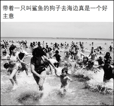 一张黑白老照片，展示海滩上许多人惊慌失措地从水中跑出来的场景。图片上方配有文字：'带着一只叫鲨鱼的狗子去海边真是一个好主意'。这张梗图通过文字与画面的反差制造幽默效果——表面上听起来是个不错的主意，实际上却暗示这只名叫'鲨鱼'的狗引发了海滩上的混乱和恐慌。