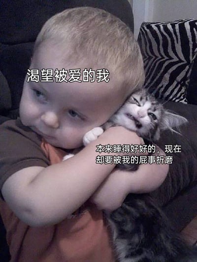 这张表情包改编自外网的真实生活照片，画面中一位金发幼儿带着落寞委屈的神情，紧紧将一只小猫抱在怀里，小猫则露出痛苦抗拒的表情。图中添加了两段中文配文，幼儿对应的配文是“渴望被爱的我”，小猫对应的配文是“本来睡得好好的，现在却要被我的屁事折磨”，用拟人化的方式，将幼儿比作渴望关怀的自己，小猫比作被自己的琐事、内耗折腾的内在自我，精准又搞笑地表达了当代人渴望爱却又陷入自我拉扯、自我内耗的无奈情绪，很容易引发共鸣。