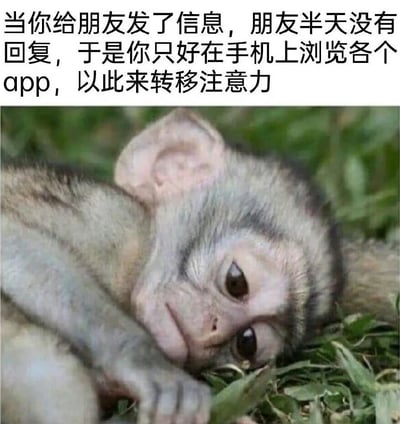 图片上方为文字描述：“当你给朋友发了信息，朋友半天没有回复，于是你只好在手机上浏览各个app，以此来转移注意力”，下方是一只猴子趴在绿色草地上的照片，猴子眼神略显慵懒，身体放松地蜷缩着，整体画面生动展现了等待朋友回复时通过刷手机App打发时间的无聊状态。