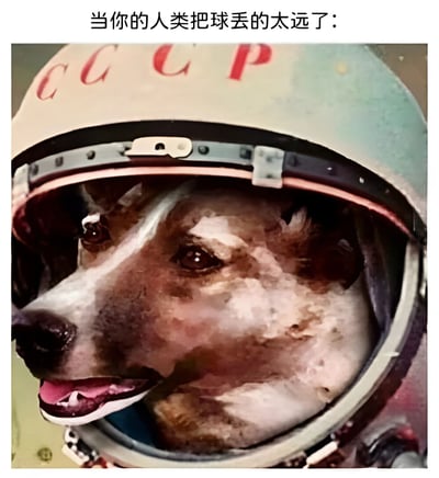 这张图片展示了一只狗的头部被合成到苏联宇航员的头盔中，头盔上清晰可见红色的"CCCP"标志。图片上方配有文字"当你的人类把球丢的太远了："，通过将狗与宇航员形象结合，幽默地表达了当主人把球扔得极远时，狗狗需要像宇航员执行任务一样去捡球的夸张场景。