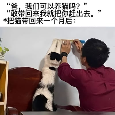 图中上方文字记录了孩子与父亲关于养猫的对话：孩子问“爸，我们可以养猫吗？”，父亲强硬拒绝“敢带回来我就把你赶出去。”。下方照片则是一个月后的反转场景——父亲穿着红色衬衫，正用尺子在墙上测量，一只黑白相间的猫站立起来，前爪搭在墙上，仿佛在和父亲一起“工作”。整个画面展现了典型的“真香”现场，体现了父亲从抗拒到接纳甚至宠爱猫咪的态度转变。