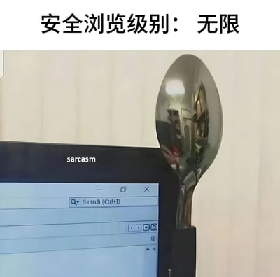 图片展示了一个黑色电脑显示器，屏幕上显示着搜索框界面，上方有'sarcasm'字样。显示器顶部放置了一个不锈钢勺子，勺面反射出房间景象。图片最上方有文字'安全浏览级别：无限'，通过将勺子放在屏幕前形成一种幽默的视觉效果，讽刺地表达'最高级别的安全浏览'。