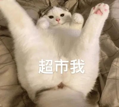 一只白色的猫咪仰躺在带有格子纹路的被子上，四肢伸展朝天，露出粉嫩的肉垫，眼睛圆溜溜地看着镜头，表情呆萌可爱。猫咪的腹部位置叠加了白色文字“超市我”，整体画面温馨治愈又带有一丝无厘头的幽默。