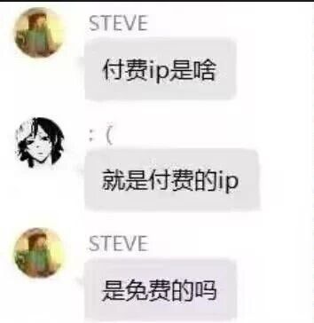 这是一张聊天记录截图，展示了用户STEVE与另一未知用户的对话场景。STEVE首先提问“付费ip是啥”，对方用“就是付费的ip”这一同义反复的回答回应，并配上难过的表情符号“:(”，随后STEVE接着追问“是免费的吗”，形成了充满幽默感的问答循环，凸显了对话中的无奈与搞笑氛围。