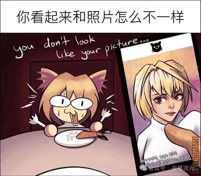 这是一张玩「照骗」梗的二次元搞笑梗图，模拟网恋/线下约会的场景：左侧是《月姬》里的猫化搞笑衍生角色Neco-Arc（猫姬），正一脸慌张地坐在餐桌前，嘴里叼着鱼，双手各拿一把叉子，满头大汗，表情滑稽；右侧是手机屏幕里的照片，是《月姬》的正牌角色爱尔奎特·布伦史塔德，是精致冷艳的美少女形象。图上方配文「你看起来和照片怎么不一样」，英文对应「you don't look like your picture...」，吐槽了线下见面时本人和照片差距过大的「见光死」尴尬场景。
没有双关或谐音梗，核心是利用两个角色的巨大形象反差来玩照骗的网络梗。