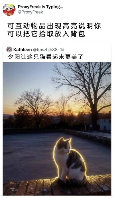 这是一张来自X（原Twitter）平台的社交媒体截图，用户Kathleen发布了一张户外实拍的猫咪照片：黄昏时分，一只白灰相间的猫咪端坐于砖石台面上，身后是被夕阳染成暖黄色的天空与光秃的树木，夕阳的光线在猫咪的身体边缘形成了一圈明亮的金色描边，Kathleen配文称“夕阳让这只猫看起来更美了”；另一位用户ProxyFreak则结合电子游戏里的常见设定玩梗，回复“可互动物品出现高亮说明你可以把它拾取放入背包”，将猫咪边缘的夕阳描边类比为游戏中可拾取物品的高亮提示，制造出幽默有趣的互动效果，展现了网友将生活场景与游戏元素结合的趣味创作。