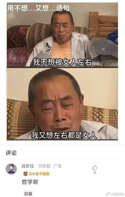 图片为上下两格拼接的真人表情包，上方文字提示“用不想...又想...造句”。上格中一名男子坐在花纹沙发上，敞开衬衫露出胸膛，配文“我不想被女人左右”；下格为该男子面部特写，眉头紧锁，配文“我又想左右都是女人”，通过前后矛盾的造句展现一种纠结的男性心理。图片底部包含社交媒体评论区，显示用户“段虾饺”13天前来自广东的评论“哲学啊”。