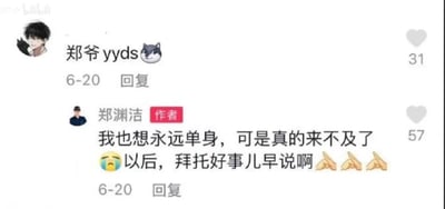 这是一张来自哔哩哔哩（B站）的社交媒体评论区静态截图，属于图文混排形式。截图展示了两条评论：上方是用户“郑爷yyds🐺”于6月20日发布的仅含昵称与表情的评论，获得31个点赞；下方是认证为“作者”的知名童话作家郑渊洁在同日的回复，内容为“我也想永远单身，可是真的来不及了😢以后，拜托好事儿早说啊🙏🙏🙏”，该回复获得57个点赞。郑渊洁的回复以幽默调侃的语气，表达了自己已无法选择单身状态的无奈，对话风格风趣接地气，充满网感。