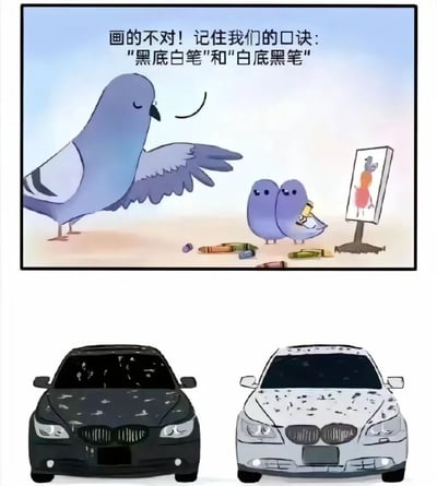 图片分为上下两部分。上半部分是卡通场景：一只体型较大的蓝色鸽子正严肃地指点，旁边有两只小鸽子看着画板，地上散落着彩色蜡笔，上方文字写着'画的不对！记住我们的口诀：'黑底白笔'和'白底黑笔''。下半部分是两张汽车照片对比：左侧黑色宝马车身上布满白色污渍，右侧白色宝马车身上布满黑色污渍，幽默地呼应了上半部分的'黑底白笔/白底黑笔'口诀，形成有趣的生活观察对比。