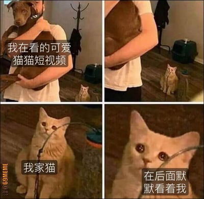 这张梗图是四格拼贴，描述了主人怀抱狗狗看猫猫短视频时，家里的猫在后面默默委屈地盯着主人的场景。猫咪表情非常委屈、含泪，表现出它好像对主人宠爱别的猫而感到吃醋，让人觉得既搞笑又有点心疼。这种情感投射类梗图很适合用来表达“本命吃醋”或者“被冷落”的时刻。

该梗图没有谐音梗或隐含暗示，属于动物情感化表情包。