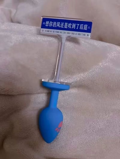 图片中展示了一个蓝色的灌肠器，上面插着一个标牌，写着"想你的风还是吹到了后庭"。这是一个典型的谐音梗和双关语幽默，表面上看起来像是一句浪漫的天气相关语句，实际上利用"后庭"一词的双关含义制造笑点。