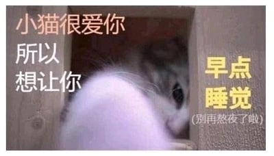 这是一张图文结合的静态温馨图，画面主体是一只软萌的小猫，它躲在木质柜子的缝隙中，仅露出部分脑袋和爪子，神态温顺治愈。图中搭配了暖心的文字：左侧粉色字体写着“小猫很爱你 所以想让你”，右侧黄色字体写着“早点睡觉”，下方还有括号里的小字“(别再熬夜了啦)”。整体采用拟人化的手法，以小猫的口吻温柔地提醒人们不要熬夜、早点休息，风格治愈暖心，常被用作表情包或温馨提醒的素材，传递对他人的关心。