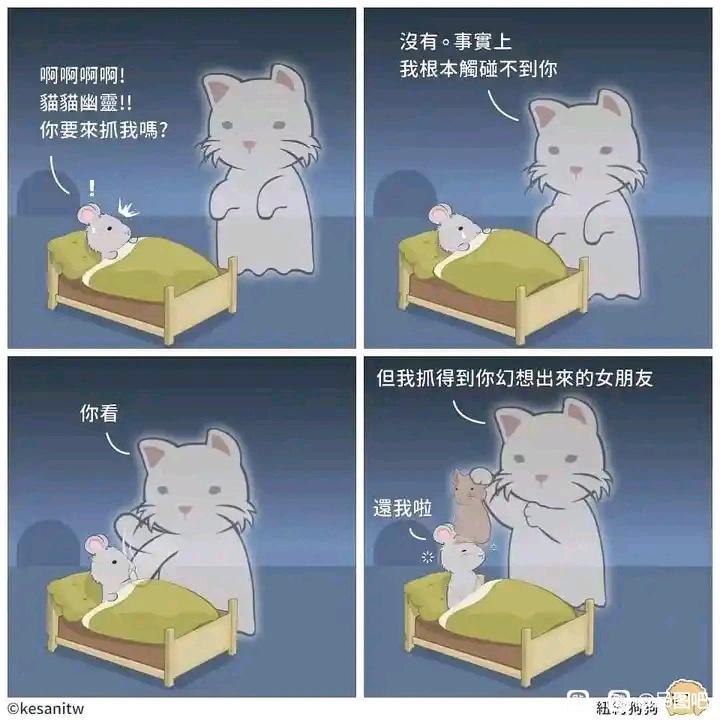 小老鼠