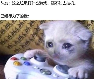 图片上方文字显示队友对玩家的批评：“这么垃圾打什么游戏，还不如去挂机。”，下方配有一只白色小猫咪的照片。小猫咪有着大大的眼睛，眼神中带着明显的委屈和悲伤，正用两只前爪握着一个白色的游戏手柄，似乎在努力操作但又显得力不从心。整个画面通过拟人化的手法，幽默地表现了玩家在游戏中已经尽力却仍被队友指责时的委屈与无奈心情。